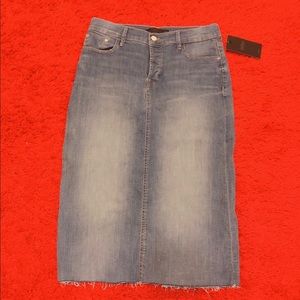 Zara Midi Denim Skirt